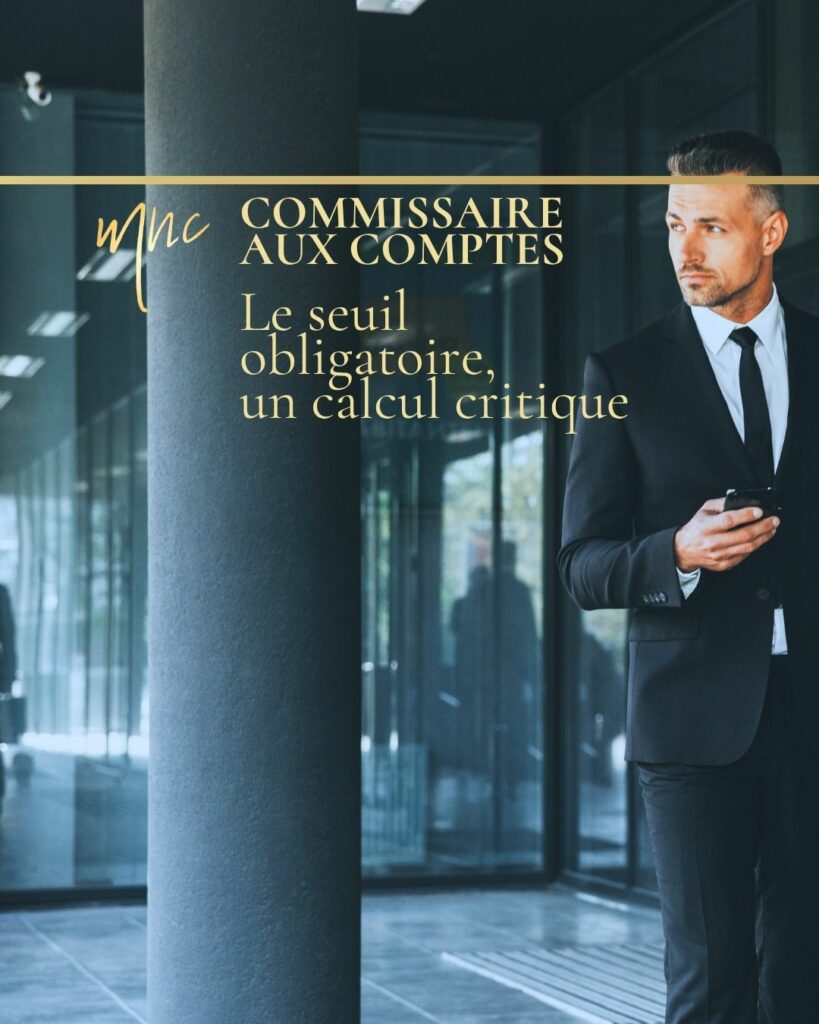 Commissaires aux comptes, Le seuil obligatoire, un calcul critique.